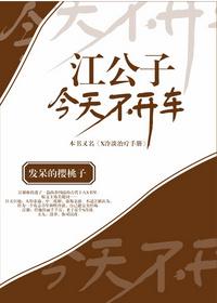 江公子今天不开车攻是谁