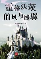 霍格沃茨的风与鹰翼 破碎泰迪