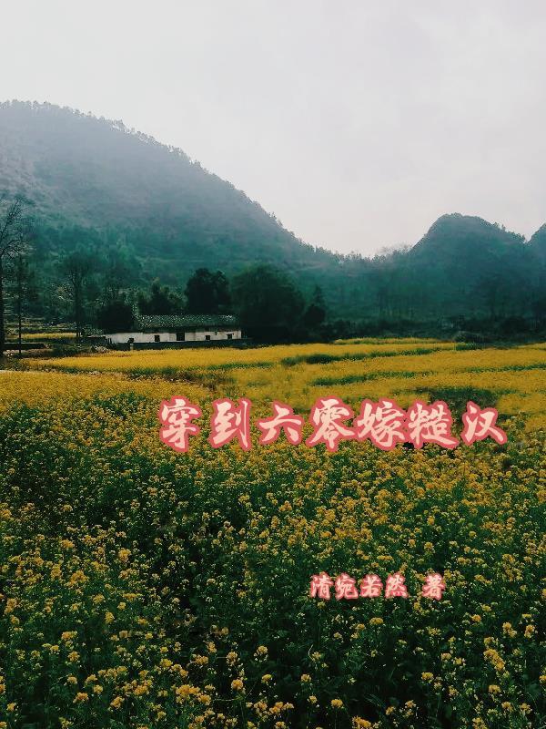 穿六零嫁糙汉邓清灵