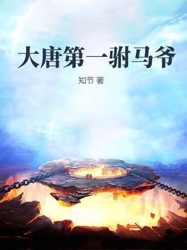 大唐第一驸马txt八零