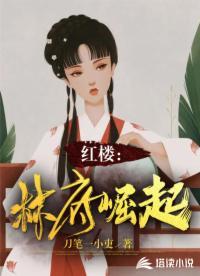 红楼林府崛起作者是谁