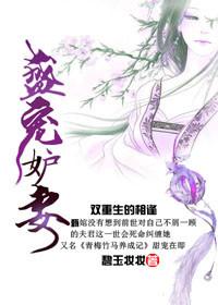 盛宠妻宝全文免费阅读无弹窗